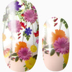 Spring Meadow