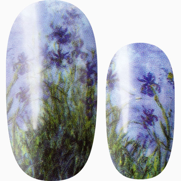 Midnight Meadow