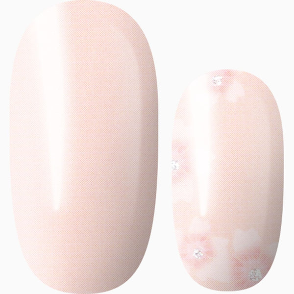 Pink Promises