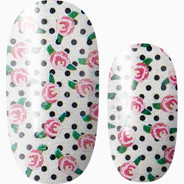 Dotty for You