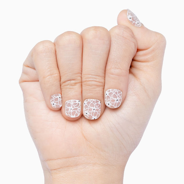 Daisy Dream (transparent)