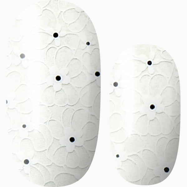 Daisy Dream (transparent)