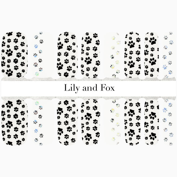 Anything is Paw-sible (transparent)