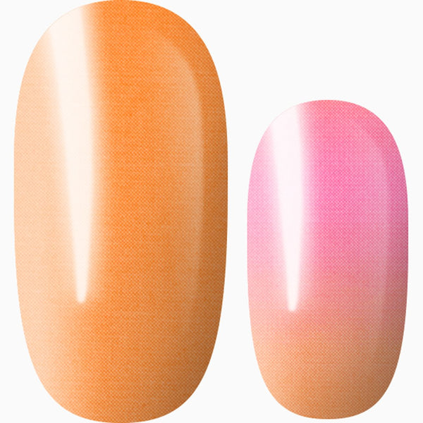 Apricot Kisses