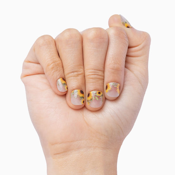 August Sunshine (transparent)