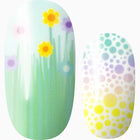 Spring Is In The Air