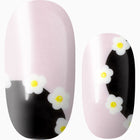 All The Single Daisies!!