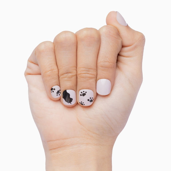 Paw-sitive Vibes