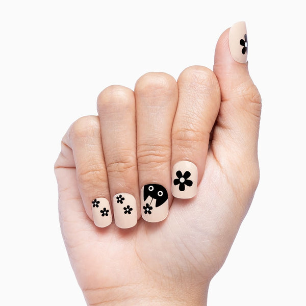 Whiskered Petals