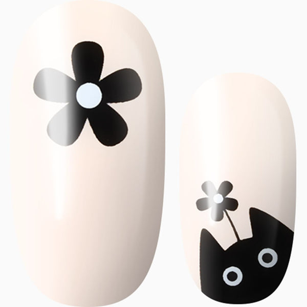 Whiskered Petals