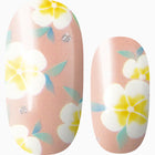 Build Me Up Buttercup