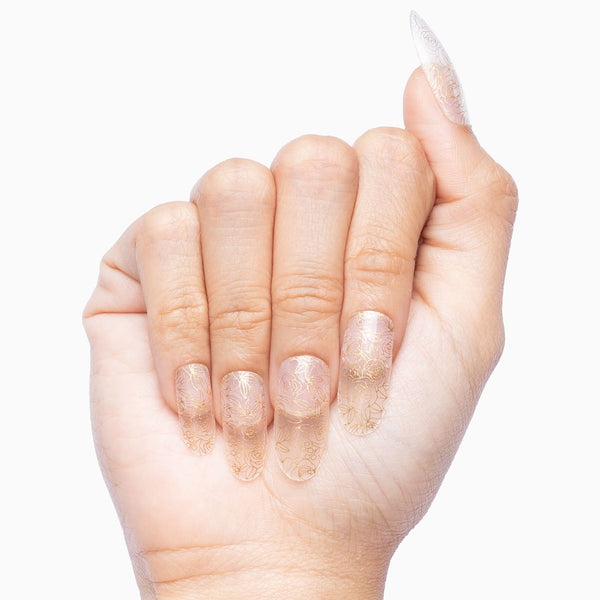 Wrap Me in Gold (transparent)