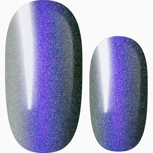 Feel My Love Tonight