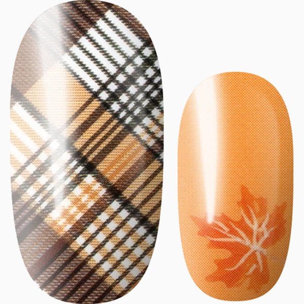 Pumpkin Patch Plaid