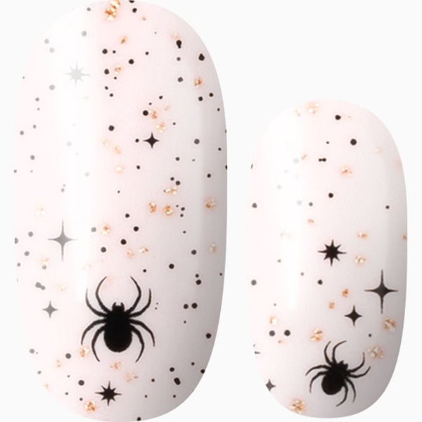 Cosmic Cobwebs
