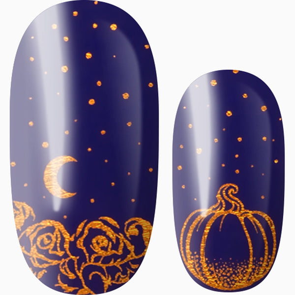 Midnight Twinkle