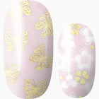 Flutter-ly In Love